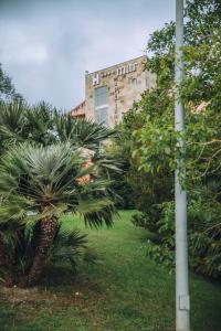 柯米拉斯Hotel Arha Mar Comillas的一座建筑前的棕榈树