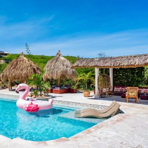 威利布罗德Kas Amigu accomodations的水中粉红色天鹅的度假村游泳池