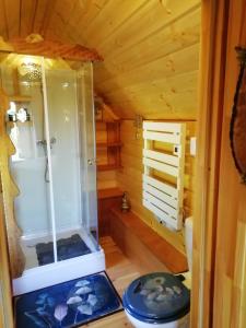 ServasLa Chaumière des Elfes的小木屋内带淋浴的浴室