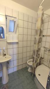 乌尔齐尼Ema Apartments的一间带卫生间和水槽的浴室