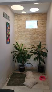 莱蒂西亚Casa amazilia的一间拥有两盆植物和窗户的房间