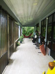 莱蒂西亚Casa amazilia的植物建筑的走廊