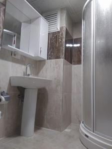 博卢Bolu Deluxe Otel的一间带水槽和淋浴的浴室