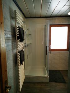 菲尔根Ferienwohnung Mühlburger的带淋浴的浴室和玻璃门