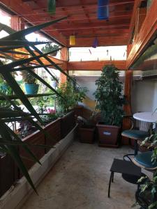 安塔利亚Orange Garden的庭院里种植了盆栽植物,配有桌椅