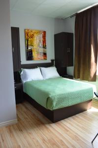 鲁安Le Citadin的一间卧室配有一张带绿色棉被的床