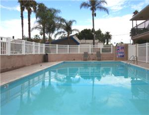 里弗赛德Raincross Hotel Riverside的一个种有棕榈树的大型蓝色游泳池