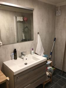 高尔阿士葛尔旦杰士特伽德农家乐的浴室设有白色水槽和镜子