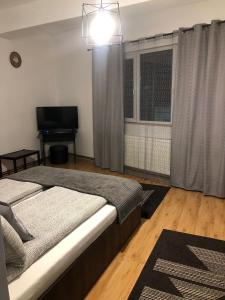 德瓦Apartament BAȘAK 2的一间卧室配有一张床、一台电视和一个窗口