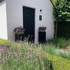 HamB&B 't klein GELUK的白色房子里一扇黑色的门,花色紫色