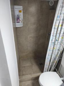 克卢日-纳波卡Sport Hostel Cluj的带淋浴、卫生间和浴帘的浴室
