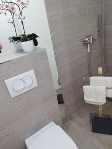 贾塞尼采Apartmani Deluxe的带淋浴、卫生间和盥洗盆的浴室