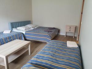Laukžemė劳克瓦丽乡村民宿的客房设有三张床和一张木桌