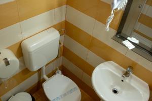 康斯坦察Curtea Brancovenească的一间带卫生间和水槽的小浴室