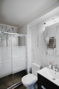 亚历山德鲁波利斯ALEXANDRA Boutique Residence Seaside的浴室配有卫生间、淋浴和盥洗盆。