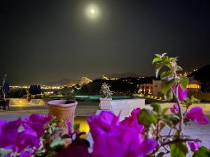 艾因苏赫纳La Siesta Hotel Al Sokhna的紫色花朵的城市景观