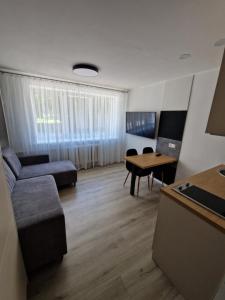 克莱佩达New cosy Karklu Apartment in Klaipeda的客厅配有沙发和桌子