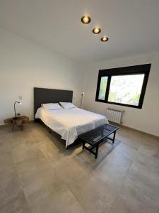 普尔马马尔卡Casita de Purmamarca的一间卧室设有一张大床和一个窗户。