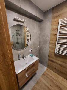 亚罗钦Apartamenty Hallera 4的一间带水槽和镜子的浴室