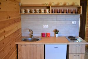 扎布利亚克Durmitor view的厨房配有水槽和台面