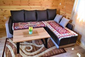 扎布利亚克Durmitor view的客厅配有沙发和桌子