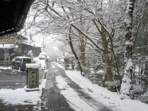 京都汤温泉奥哈拉山水酒店的一条有树木和汽车的雪覆盖的街道