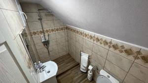 ChişcăuCasa Aurelia的带淋浴和卫生间的小浴室
