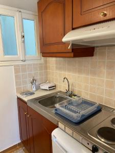 米蒂利尼Filoxenia Apartments的厨房柜台设有水槽和水槽