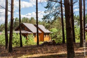 斯沃尔纳加西耶Domki Letniskowe Swornegacie - grill klimatyzacja WiFi monitoring的树林里的一个黄色小小屋