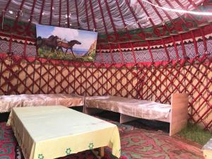 TongGuesthouse Bermet的帐篷,配有两把长椅和一幅马的照片