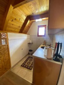 扎布利亚克杜米托尔别墅山林小屋的厨房配有水槽和台面