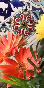 波贾尔多La Limesa的桌子上花瓶里的一组花