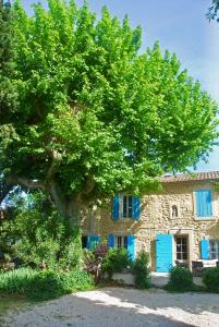普罗旺斯地区萨隆普罗旺斯蓝色百叶窗住宿加早餐旅馆的蓝百叶窗建筑前的大树