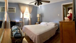 HavertownABnB Superhost - Siri's Favorite Place的一间卧室配有一张床和吊扇