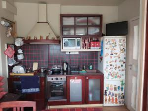 派尔努家庭度假公寓的小厨房配有炉灶和冰箱