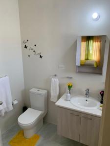 迪斯卡弗里贝Sunset Paradise Home的一间带卫生间和水槽的浴室
