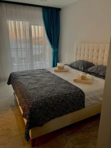 博阿齐奇Beach front apartment的一间卧室配有两张带蓝色窗帘的床和窗户。
