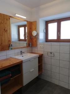 特洛普拉赫Erlhofer Apartments的一间带水槽和镜子的浴室