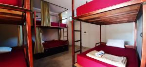 坎古Urban Jungle House Bali的带红色床的客房内的两张双层床