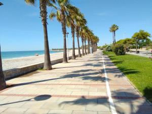 莱斯卡瑟斯-达尔卡纳Apartamento en la playa的海滩旁的一条棕榈树人行道