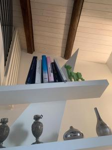 里米尼La casetta rossa的书架上放着书,上面放着玩具恐龙