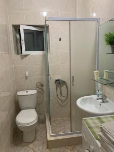 卢什蒂卡Apartments Vuk的带淋浴、卫生间和盥洗盆的浴室