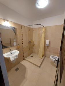 图尔达Pensiunea Daiana Residence的一间带水槽、淋浴和卫生间的浴室