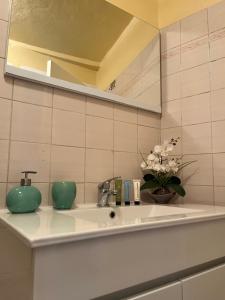 福什科阿新镇CASAS DO CÔA - Casa do Castelo的浴室水槽,上面有镜子和花瓶