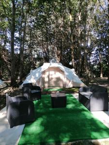 CarrancejaLa Finca - Campamento en la Naturaleza的一个带椅子和绿色草坪的帐篷