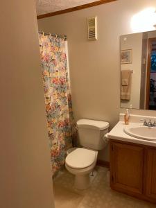 ClaysburgBlue Knob (2/Bedroom, 2/Bathroom Condo)的浴室设有卫生间、水槽和淋浴帘