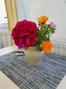 布德Boots Cottage的花瓶,花朵放在桌子上