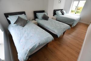 LeganKiernan's Self Catering & Accommodation的一间卧室配有两张带蓝色棉被的床