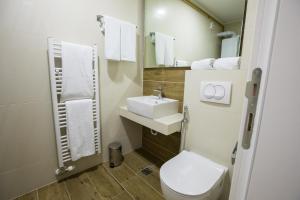 萨拉热窝Green Nature Hotel & Apartments的一间带卫生间和水槽的小浴室