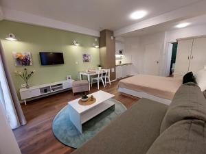 奥赫里德Iris Guesthouse的客厅配有床、沙发和电视。